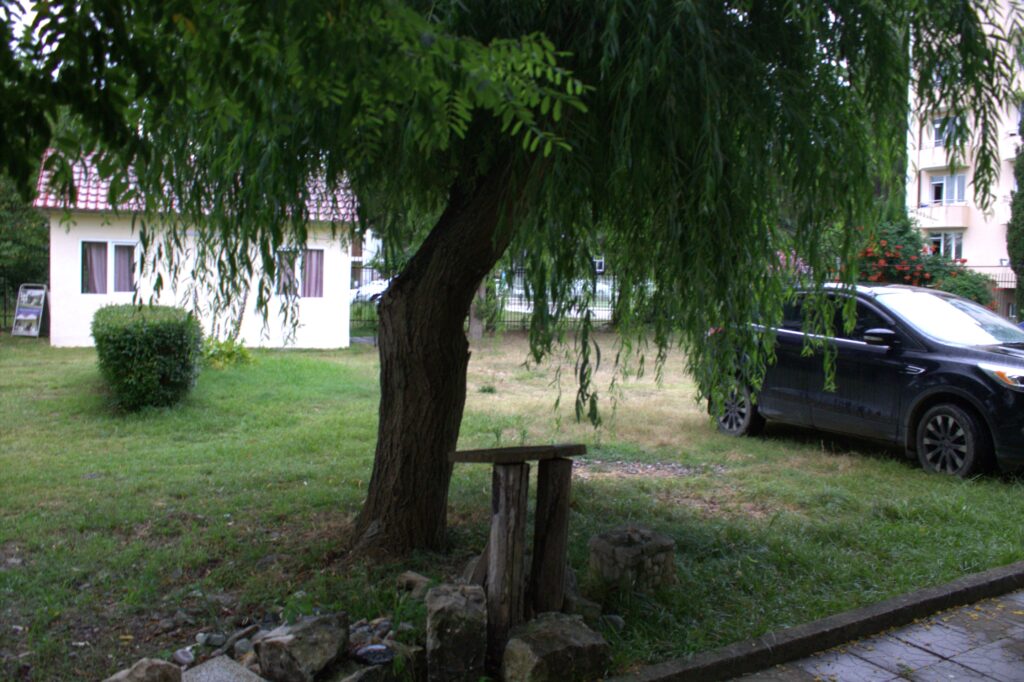 Вид 3