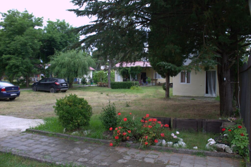 Вид 4