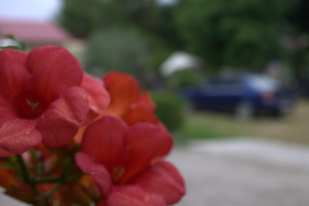 Природа 5